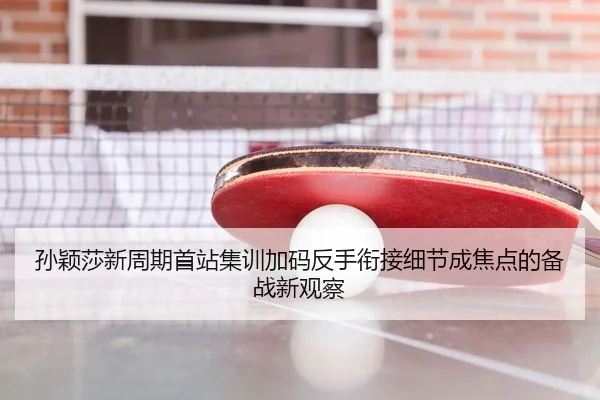 孙颖莎新周期首站集训加码反手衔接细节成焦点的备战新观察